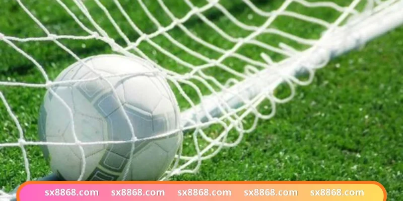 Thống kê đội tuyển trước khi xuống tiền